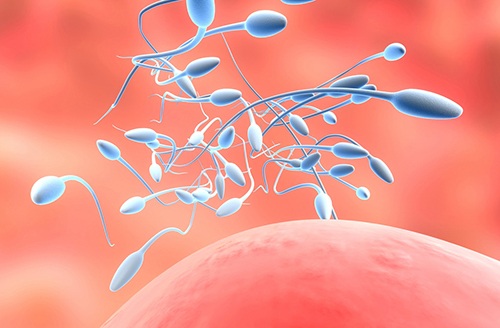 试管婴儿专家：精子追尾--蛋白质缺陷导致的男性不育？