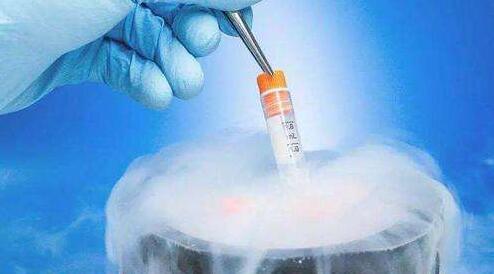 冷冻卵子有什么好处，胚胎移植成功后需要注意什么？