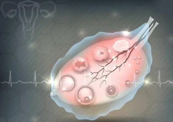 卵巢早衰可以从长沙湘雅医院借卵子生孩子吗（试管婴儿的捐卵要求汇总）。