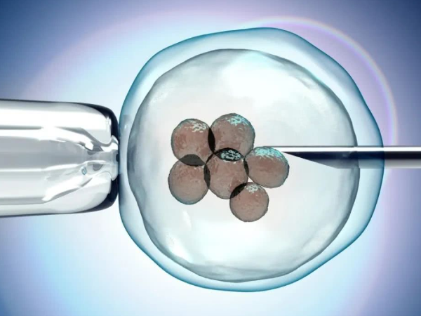湖州助孕公司高端群：移植前的良好准备是至关重要的，可以帮助提高受精率